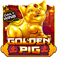pp image